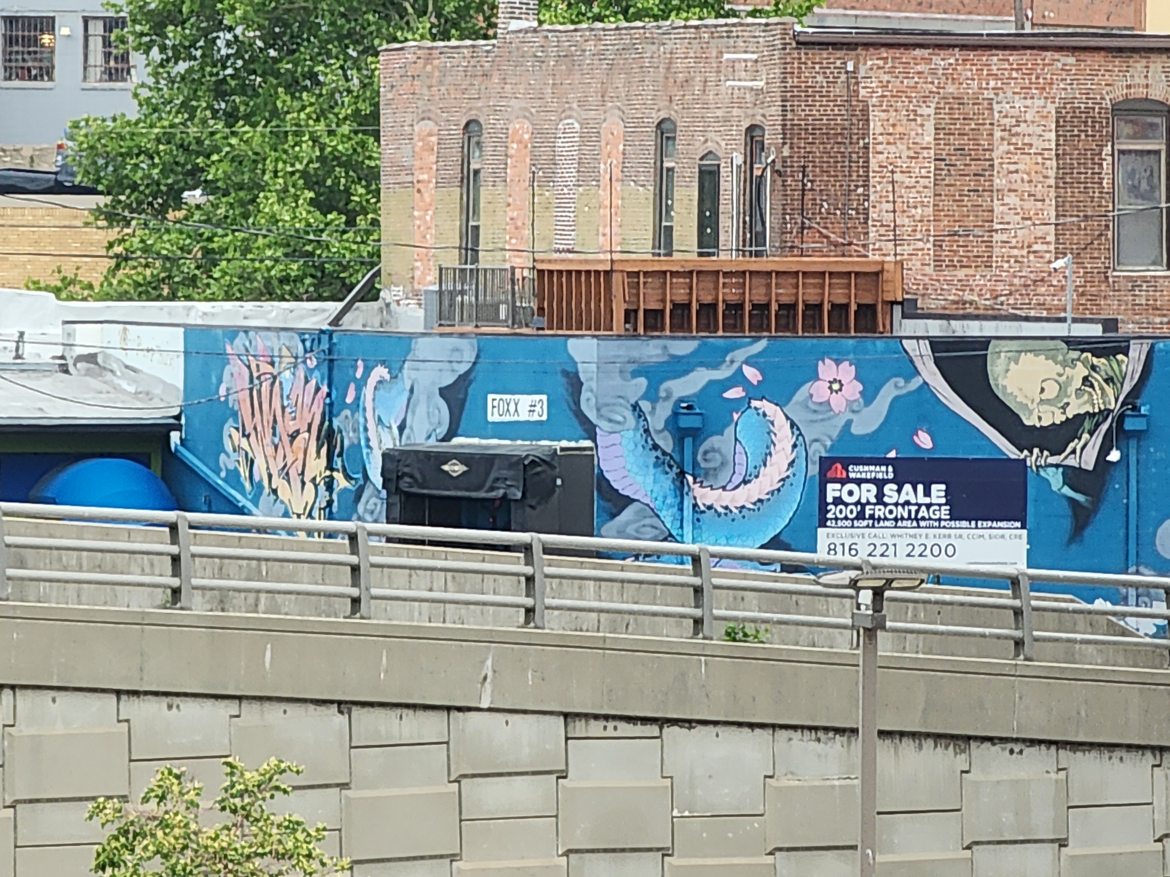 Blue Dragon and Skull Mural Labeled FOXX #3