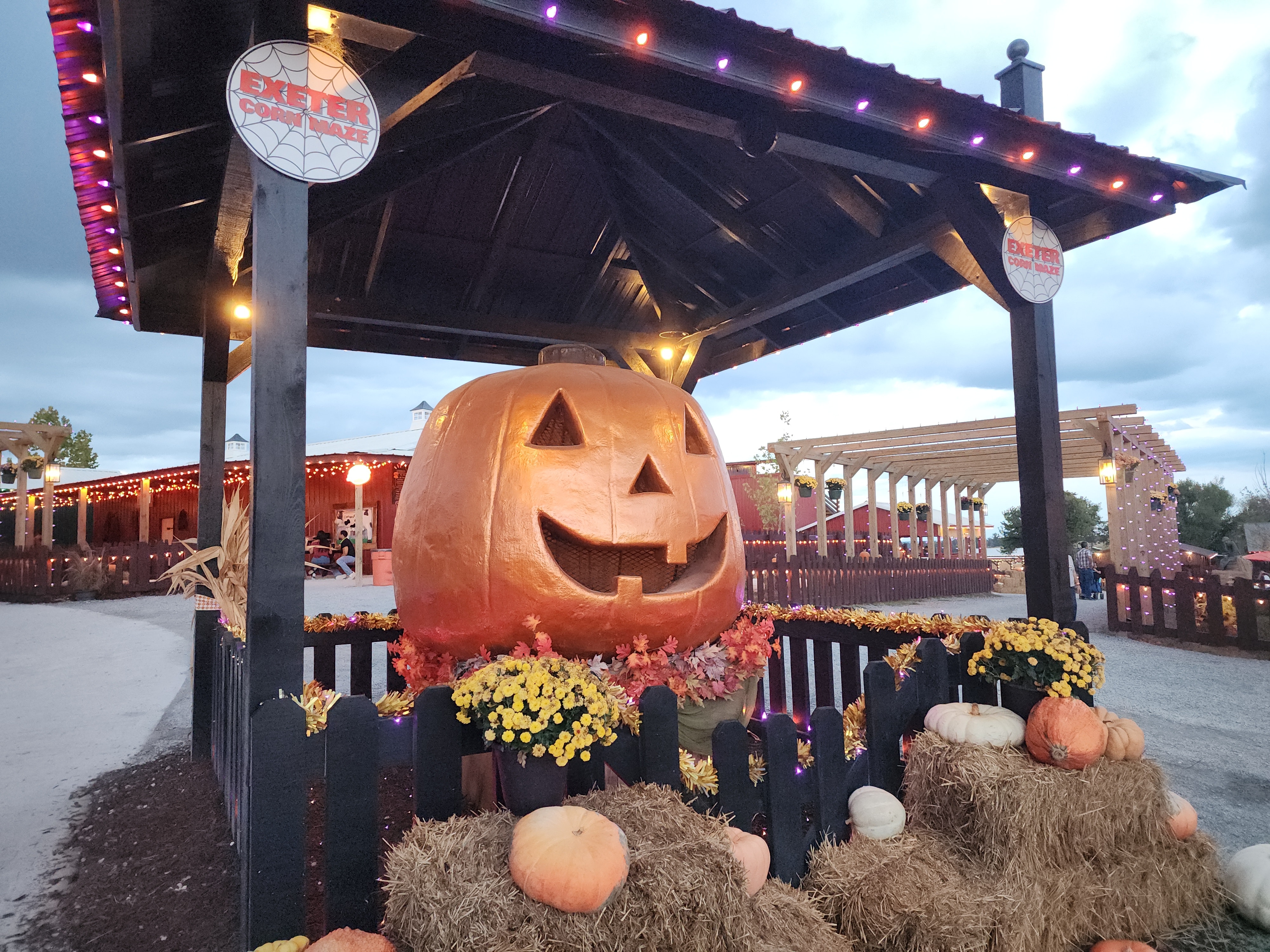 Exeter Corn Maze’s Illuminated Pumpkin Display