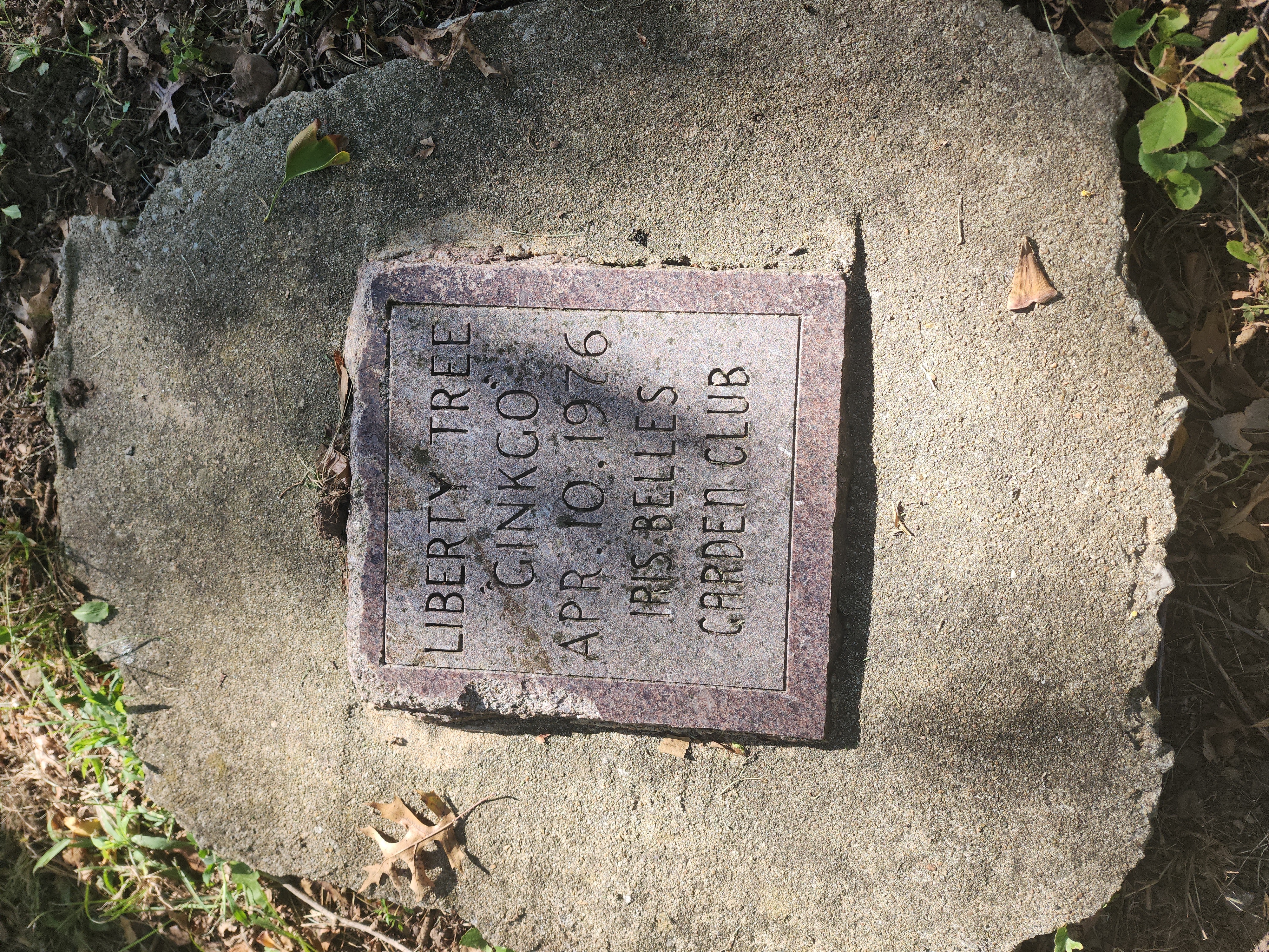 Liberty Tree Ginkgo Commemorative Plaque